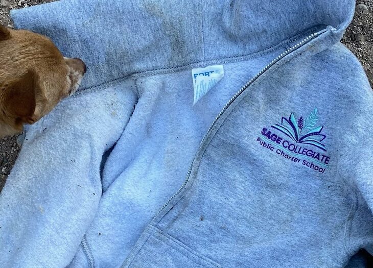 Sage collegiate student sweatshirt that was thrown into the neighbors yard